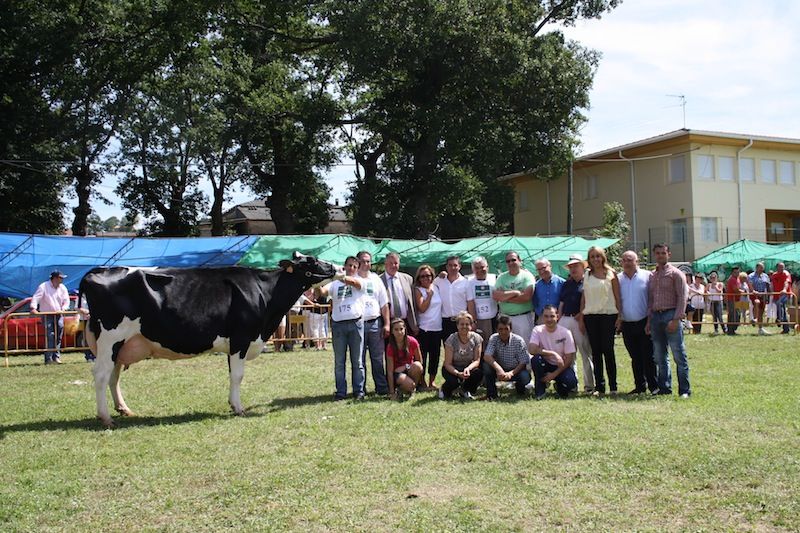 La Vaca Alily Gran Campeona del Concurso de Ganado Frisón de Santiurde de Toranzo