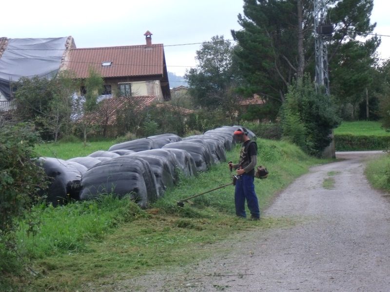 Cuidado de espacios naturales y zonas verdes