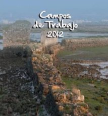 Campos de Trabajo 2012