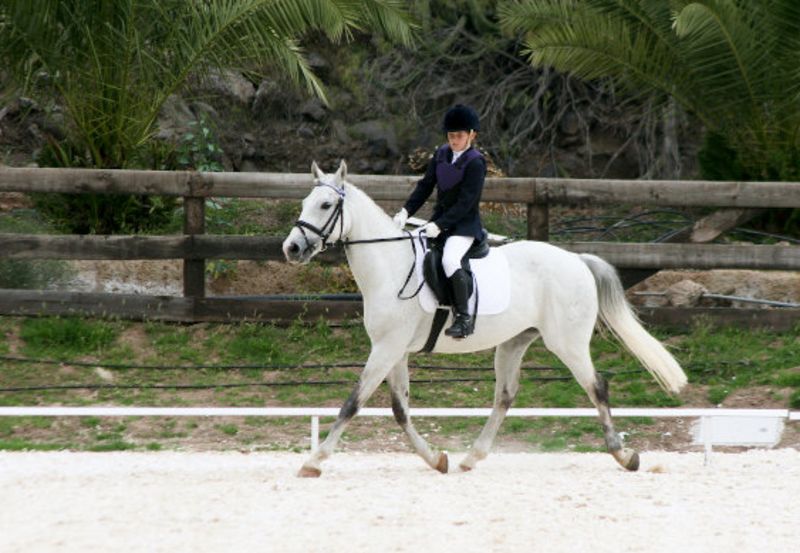 Concurso de Doma Clásica en el Centro Ecuestre de Santibáñez