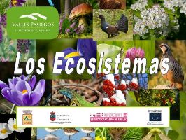 Present Ecosistemas