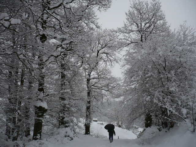 Nieva en Valles Pasiegos