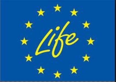 Ayudas proyectos financiados por el LIFE+ de la Unión Europea