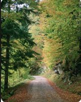 Ayudas para actuaciones de mejora y aprovechamiento sostenible de montes de Cantabria.