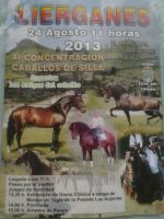 XI Concentración Caballos de Silla 2013-Liérganes