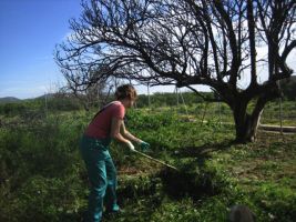 Mancomunidad Valles Pasiegos contratará a 34 Personas