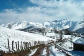 Pisuena nieve