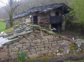 diapasiego6