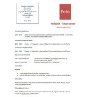 Curriculum Vitae Online