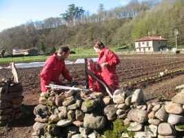 Trabajadores del_proyecto_Cultivar_la_Tierra