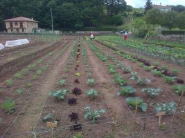 El proyecto “Cultivar la Tierra” celebrará una jornada de puertas abiertas