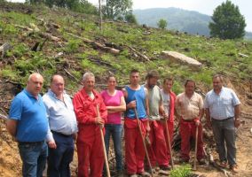 La Mancomunidad de los Valles Pasiegos reforesta montes en Santiurde de Toranzo