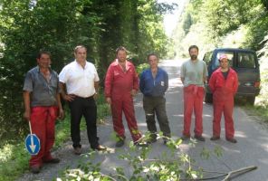 El proyecto “Cultivar la Tierra” planta más de 13000 árboles en San Pedro del Romeral