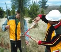 Mancomunidad de Los Valles Pasiegos. Solicitud proyectos obras y servicios interés social.