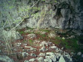 Declarada Bien de Interés Cultural la zona arqueológica del Puyo