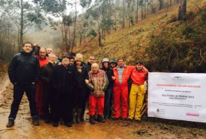 La Mancomunidad de los Valles Pasiegos reforesta con especies autóctonas en Liérganes