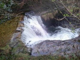 Jueves Naturaleza Valles Pasiegos I