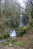 Jueves Naturaleza Valles Pasiegos XIII