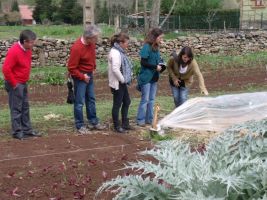 Gran acogida al Encuentro sobre Agroecología y Empleo