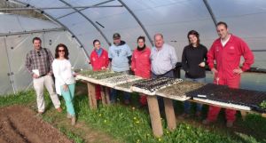 “Cultivar la Tierra 2015” desarrolla diversas actuaciones agroforestales en Valles Pasiegos