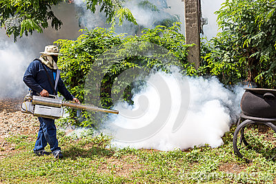 fumigate-mosquito-home-protection-mosquito-58440723