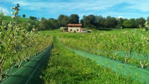 El Valle de Machucón obtiene el distintivo “Calidad Rural. Valles Pasiegos”