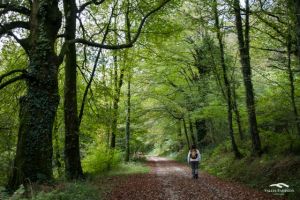 Continúa en marcha el Proyecto Servicio Red Natura de Senderismo