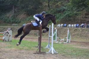 Campeonato de España de Técnicas de Rutas Ecuestres en Villacarriedo