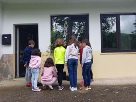 Día del Medio Ambiente en el CEIP San Andrés de Luena