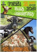 Fiestas de San Agustín en Villasevil 2019