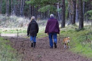 ¿Cómo es la vida en las áreas rurales de Europa? ¿Cuáles las claves para su desarrollo?