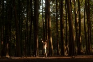 Anunciados los ganadores de los Premios Natura 2000