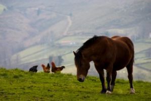 Concurso de Fotografía «Tesoros europeos de la naturaleza»