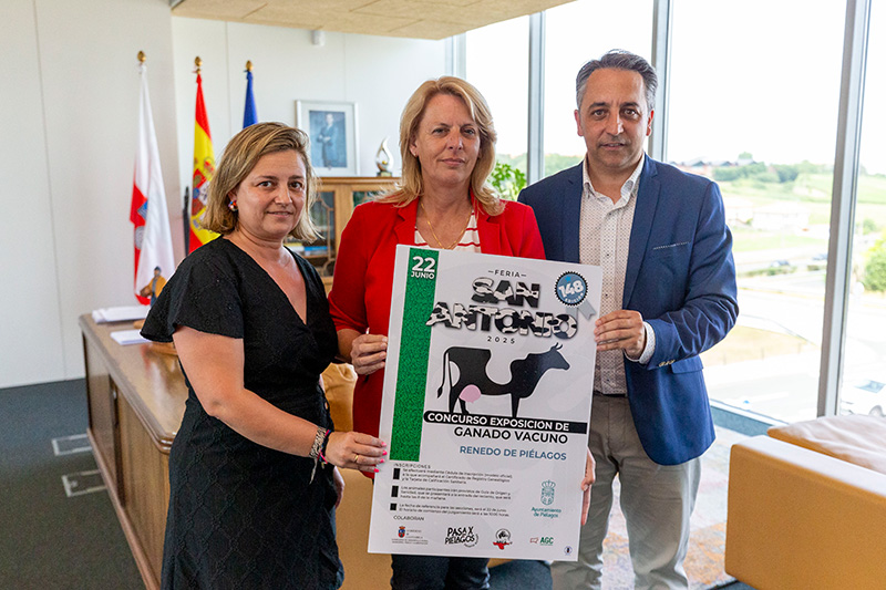 Renedo acogerá este domingo la 148 edición del concurso-exposición de ganado vacuno frisón de ‘San Antonio’