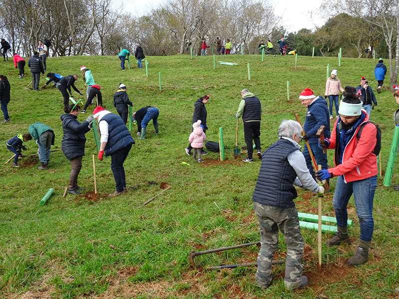 El Parque de Cabárceno acogerá cuatro jornadas de plantación de árboles autóctonos impulsadas por la Asociación Bosques de Cantabria